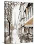 Stretched Canvas