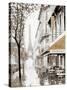 Stretched Canvas