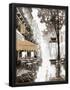 Essential Black
