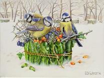 Robins with Apples, 1997-E.B. Watts-Giclee Print