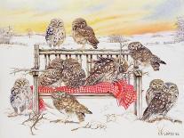 Little Owls on Twig Bench, 1999-E.B. Watts-Giclee Print
