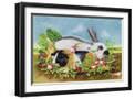 Black Frame