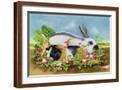 Brown Frame