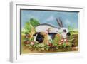 White Frame