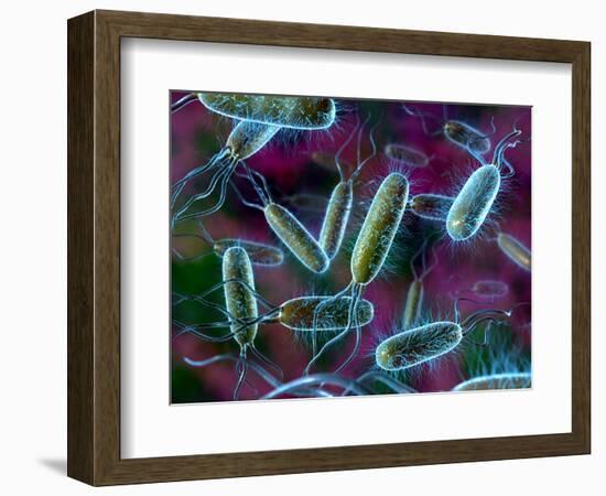 E. Coli Bacteria-David Mack-Framed Premium Photographic Print