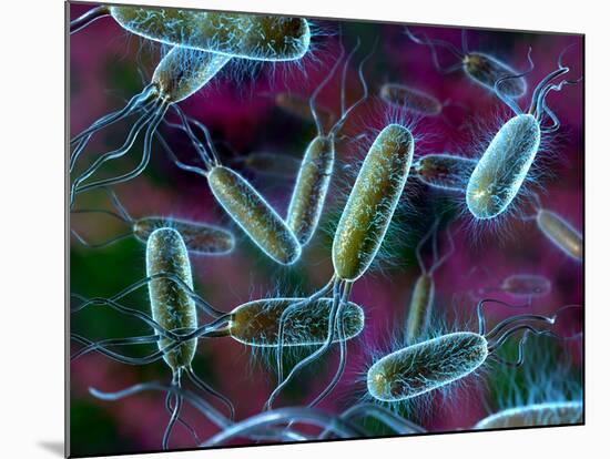 E. Coli Bacteria-David Mack-Mounted Photographic Print