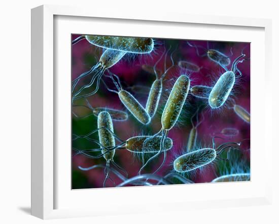 E. Coli Bacteria-David Mack-Framed Photographic Print