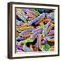 E. Coli Bacteria-null-Framed Photographic Print