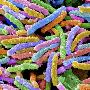 Just the Print