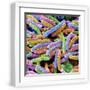 White Frame