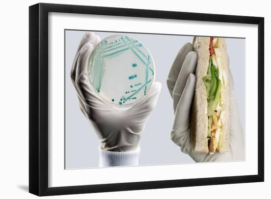 E. Coli Food Poisoning-Tim Vernon-Framed Premium Photographic Print