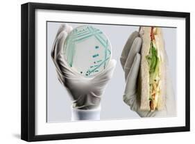 E. Coli Food Poisoning-Tim Vernon-Framed Premium Photographic Print