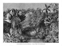 The Island of Montserrat in the Caribbean Sea, 19th Century-E de Berard-Giclee Print