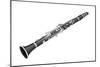 E-Flat or Soprano Clarinet, Woodwind, Musical Instrument-Encyclopaedia Britannica-Mounted Poster