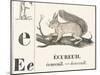 E for Squirrel, 1850 (Engraving)-Louis Simon (1810-1870) Lassalle-Mounted Giclee Print
