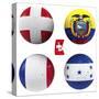 E Group of the World Cup-croreja-Stretched Canvas