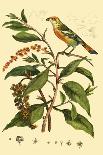 Bird in Nature IV-E. Guerin-Art Print