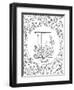 E is for Edelweiss-Heather Rosas-Framed Art Print