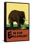 E is for Elephant-Charles Buckles Falls-Framed Stretched Canvas