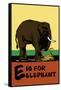 E is for Elephant-Charles Buckles Falls-Framed Stretched Canvas