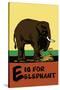 E is for Elephant-Charles Buckles Falls-Stretched Canvas