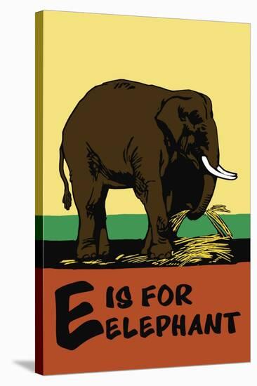 E is for Elephant-Charles Buckles Falls-Stretched Canvas