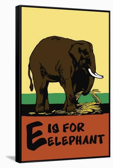 E is for Elephant-Charles Buckles Falls-Framed Stretched Canvas