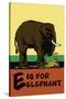 E is for Elephant-Charles Buckles Falls-Stretched Canvas