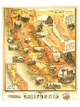 Unique Map of California 1885-E^ McD^ Johnstone-Laminated Premium Giclee Print