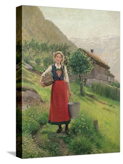 Stretched Canvas Print, , large