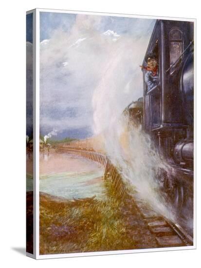 Stretched Canvas Print, , large