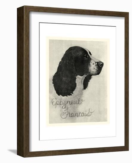 E'pagneul Francais-Vision Studio-Framed Art Print