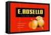 E. Rosello Valencia Onions-null-Framed Stretched Canvas