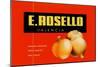 E. Rosello Valencia Onions-null-Mounted Art Print