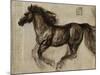 E' Talon-Mei-Mounted Giclee Print