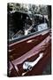 E-Type Jaguar-Tim Kahane-Stretched Canvas