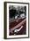 E-Type Jaguar-Tim Kahane-Framed Photographic Print