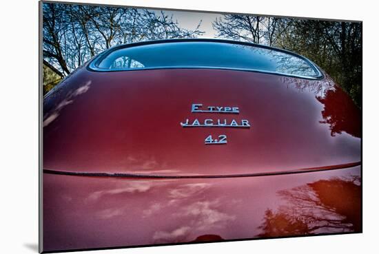 E-Type Jaguar-Tim Kahane-Mounted Photographic Print