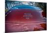 E-Type Jaguar-Tim Kahane-Mounted Photographic Print