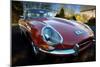 E-Type Jaguar-Tim Kahane-Mounted Photographic Print