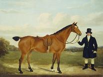 A Gentleman Holding His Hunter in a Landscape-E.W. Gill-Giclee Print