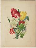 Frontispiece and Title Page, Wreath of Flowers, from Flora's Dictionary, 1838-E. W. Wirt-Laminated Giclee Print