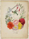 Presentation Page, Flower Garland and Humming Bird, from Flora's Dictionary, 1838-E. W. Wirt-Giclee Print