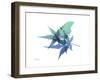 E171 Blue Turq-Albert Koetsier-Framed Art Print