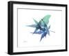 E171 Blue Turq-Albert Koetsier-Framed Art Print