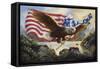 E35 Eagle USA-D. Rusty Rust-Framed Stretched Canvas