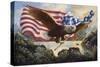 E35 Eagle USA-D. Rusty Rust-Stretched Canvas