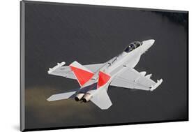 EA-18G GROWLER WITH JAMMING PODS-null-Mounted Art Print