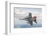 EA-18G GROWLER WITH JAMMING PODS-null-Framed Art Print