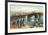 Eads Bridge, St. Louis, Missouri-null-Framed Premium Giclee Print